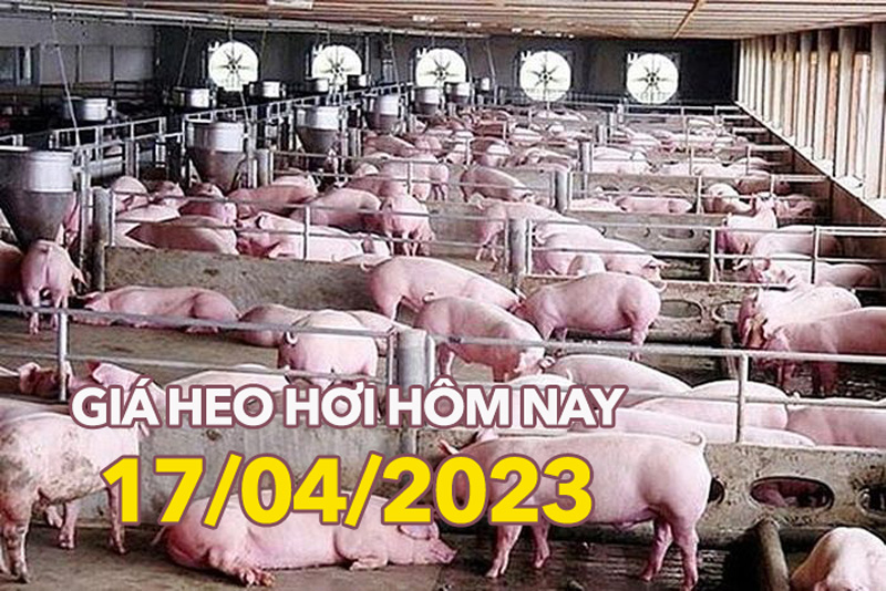 Giá heo hơi ngày 17/4/2023: Cao nhất đạt 52.000 đồng/kg