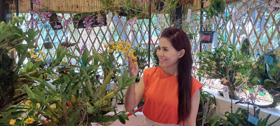 Hàng nghìn sắc hoa tại 'Festival Hoa lan TP Hồ Chí Minh lần thứ hai'