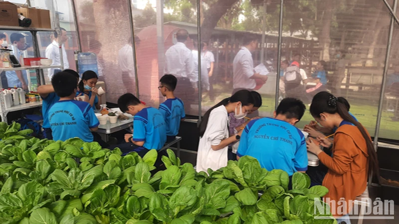 Nhiều tập thể, cá nhân ngành giáo dục Thành phố Hồ Chí Minh bị đề nghị kiểm điểm