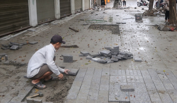 Đào đường cuối năm: “Căn bệnh kinh niên”