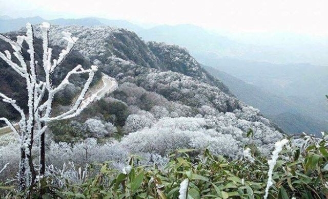 Miền Bắc bước vào đỉnh điểm rét hại, vùng núi cao dưới 0 độ C