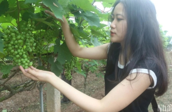 Nông dân làm nông nghiệp sinh thái