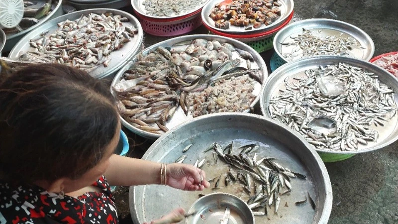 Cá linh non, đặc sản mùa nước nổi miền Tây bị “làm giả” nguồn gốc