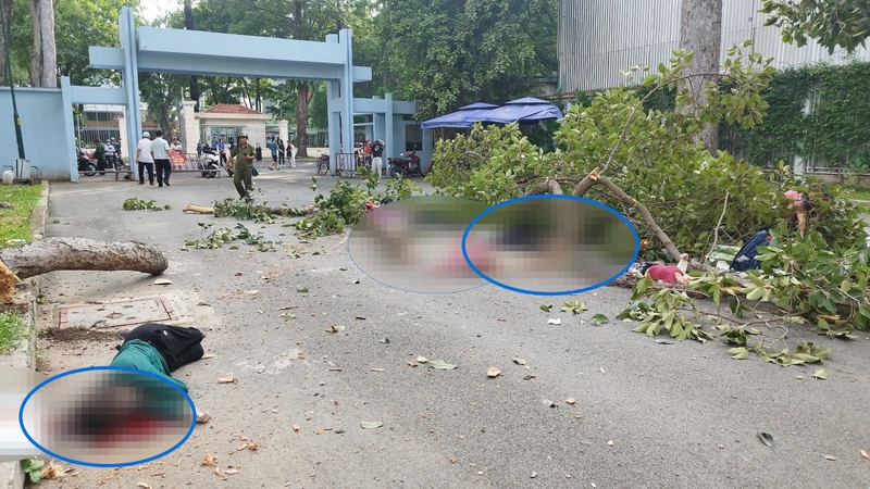 Gãy nhánh cây ở công viên Tao Đàn, TP Hồ Chí Minh khiến 2 người tử vong