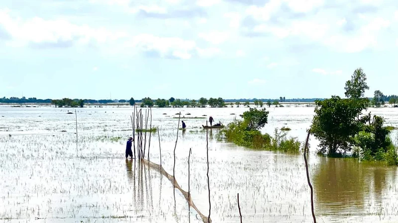 Miền Tây ngóng lũ