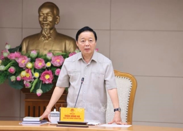 Không để sót hành vi và đối tượng vi phạm về đất đai