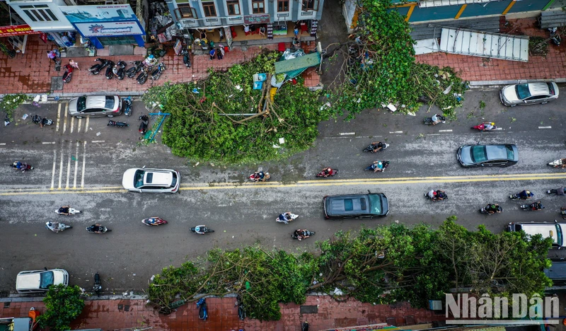 Các Bộ trưởng Ngoại giao ASEAN ra Tuyên bố về tác động của bão Yagi
