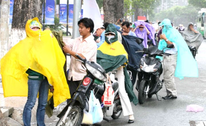 Dừng xe mặc áo mưa có phạm luật?