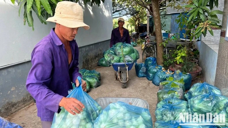 Cần giải pháp căn cơ, đồng bộ