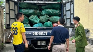 Phát hiện xe ô-tô vận chuyển xương động vật đang bị phân hủy không rõ nguồn gốc