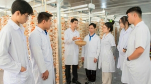 Đào tạo nguồn nhân lực nông nghiệp công nghệ cao