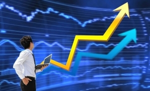 Hơn 600 mã tăng kịch trần, chào đón thông tin hoãn thuế