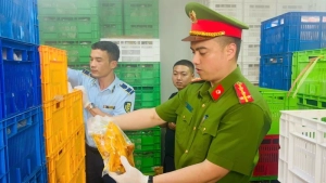 Thu giữ lượng thực phẩm không rõ nguồn gốc lớn nhất từ đầu năm 2025