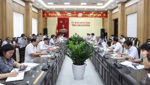Hải Dương:Tập trung đáp ứng tiến độ bàn giao mặt bằng 2 dự án truyền tải cấp bách