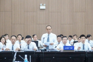 Vụ án Tập đoàn Phúc Sơn: Luật sư xin giảm nhẹ hình phạt cho các bị cáo