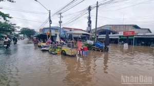 Người dân Vĩnh Long chung sức ứng phó triều cường
