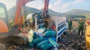 Sơn La: Tiêu hủy 1,3 tấn nội tạng động vật không rõ nguồn gốc