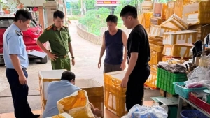 Quảng Ninh: Tiêu hủy hơn 26 tấn thực phẩm không rõ nguồn gốc, xuất xứ