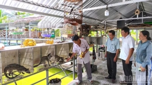 Cà Mau tăng tốc giảm nghèo bền vững