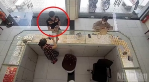 Đồng Tháp: Dùng ứng dụng tạo thông báo chuyển tiền giả để lừa đảo