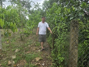 Căn cứ nào xác định đất của ông Trần Văn Tòng?